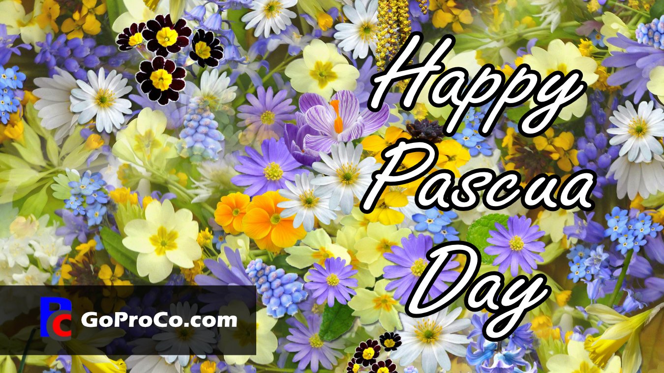 Pascua Day